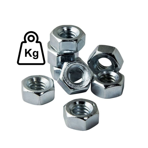 GI Hex Nut Din 934