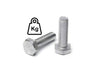 GI Hex Bolt Din 933 - KG - Express technical