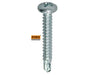 SDS - Self Drilling PAN Zinc Screw - Express technical